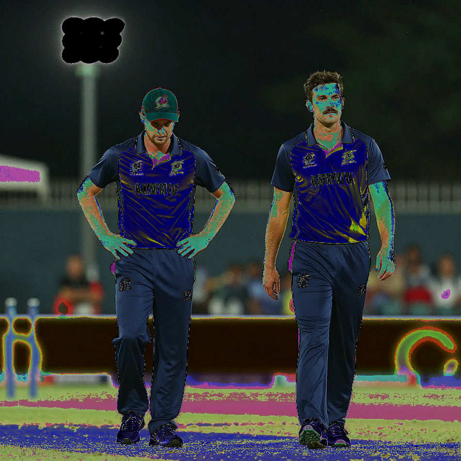 An Empty Page in Asian Cricket: Notes on a Null Result An Empty Page in Asian Cricket: Notes on a Null Result